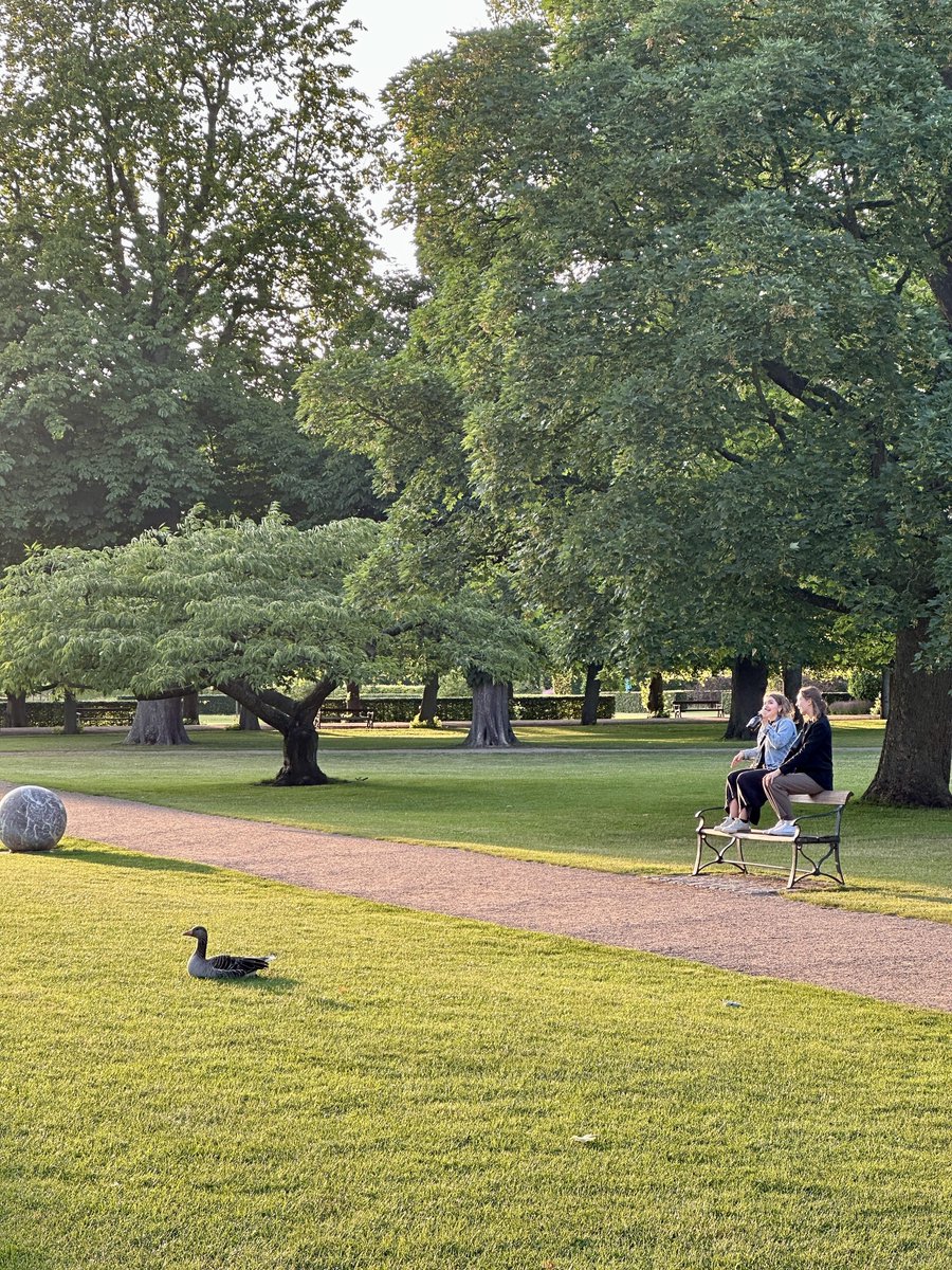 Stroll ᠎through foreign streets ​and  feel  the  unique ‍cultures  and  warm ᱸcustoms