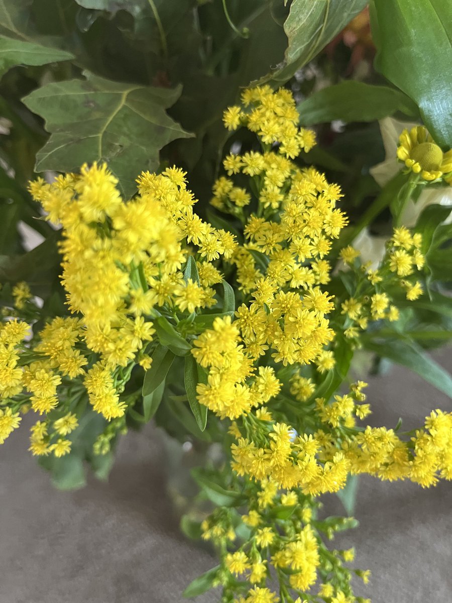 &amp; of course 🌻a happy contribution🌻to Sunday yellow🌻take care🌻