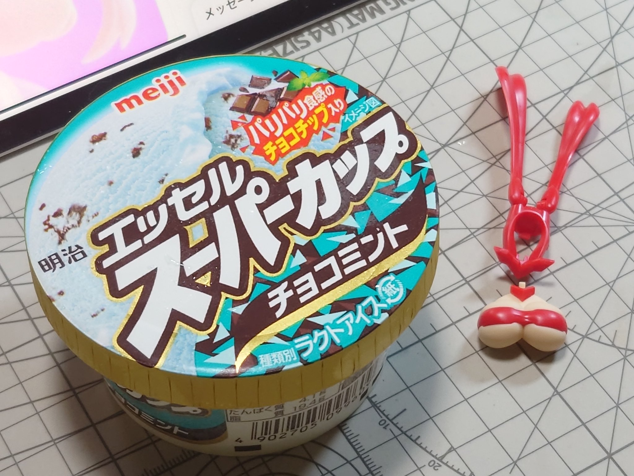 ちょこみんと ちょこみん【たまに旅するチョコミン党】 | 【忘れないように