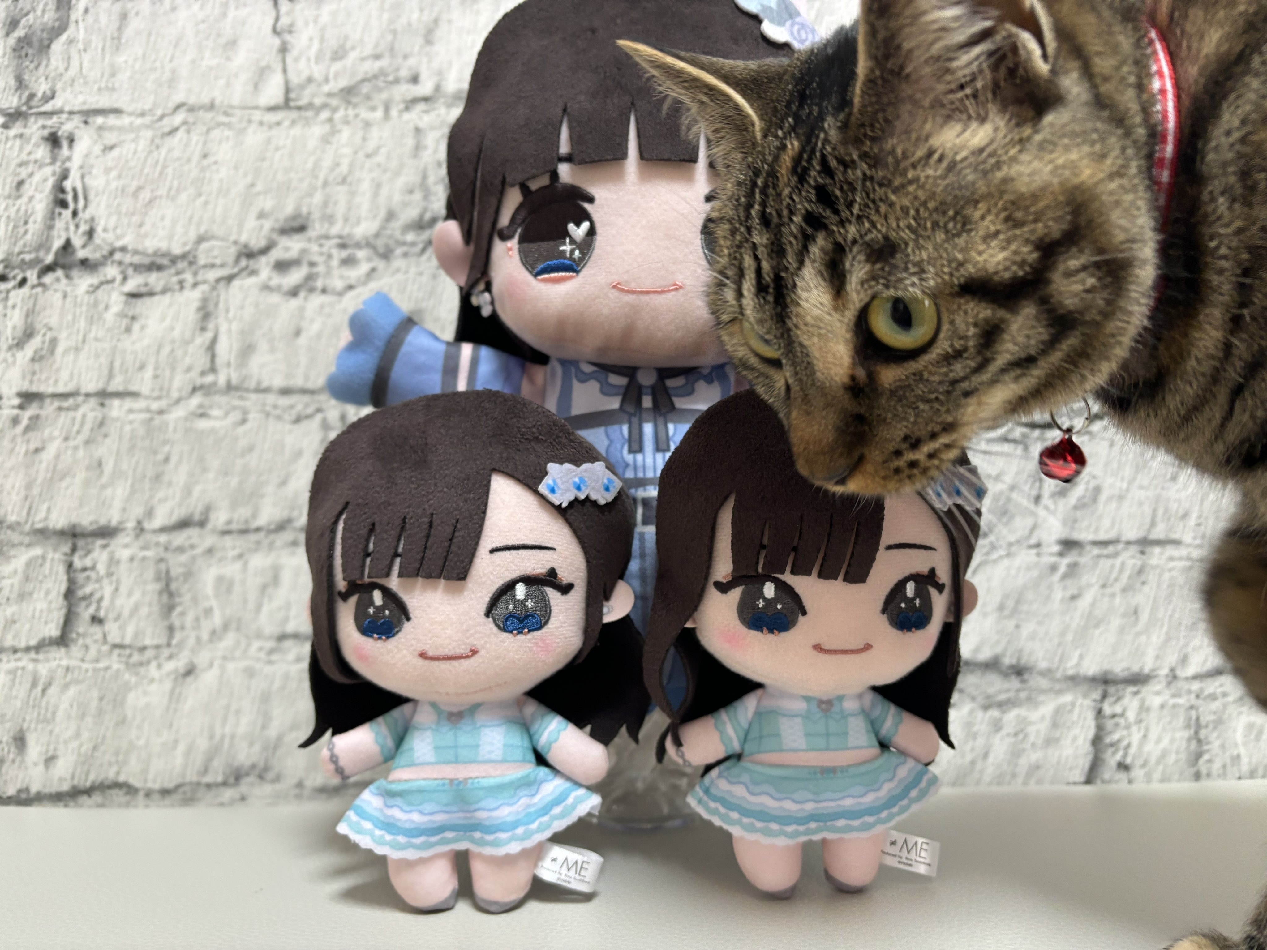 ゆうちゃん👾 on X: 