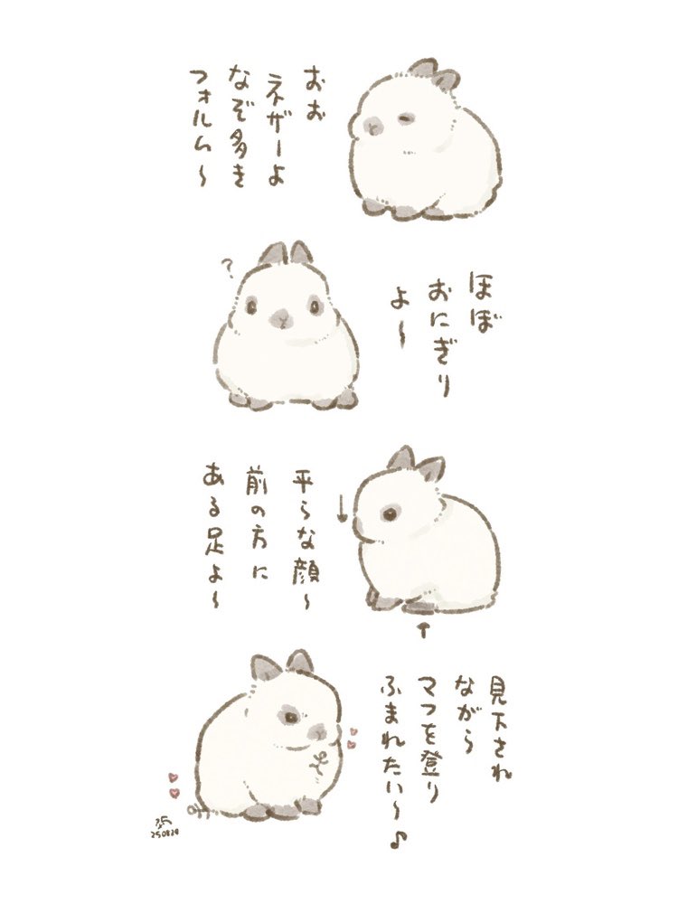 ネザーランドドワーフの詩 