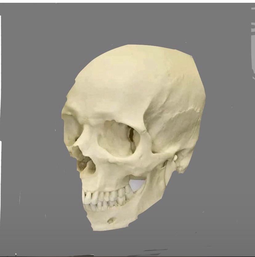 See no evil. Speak no evil  💯