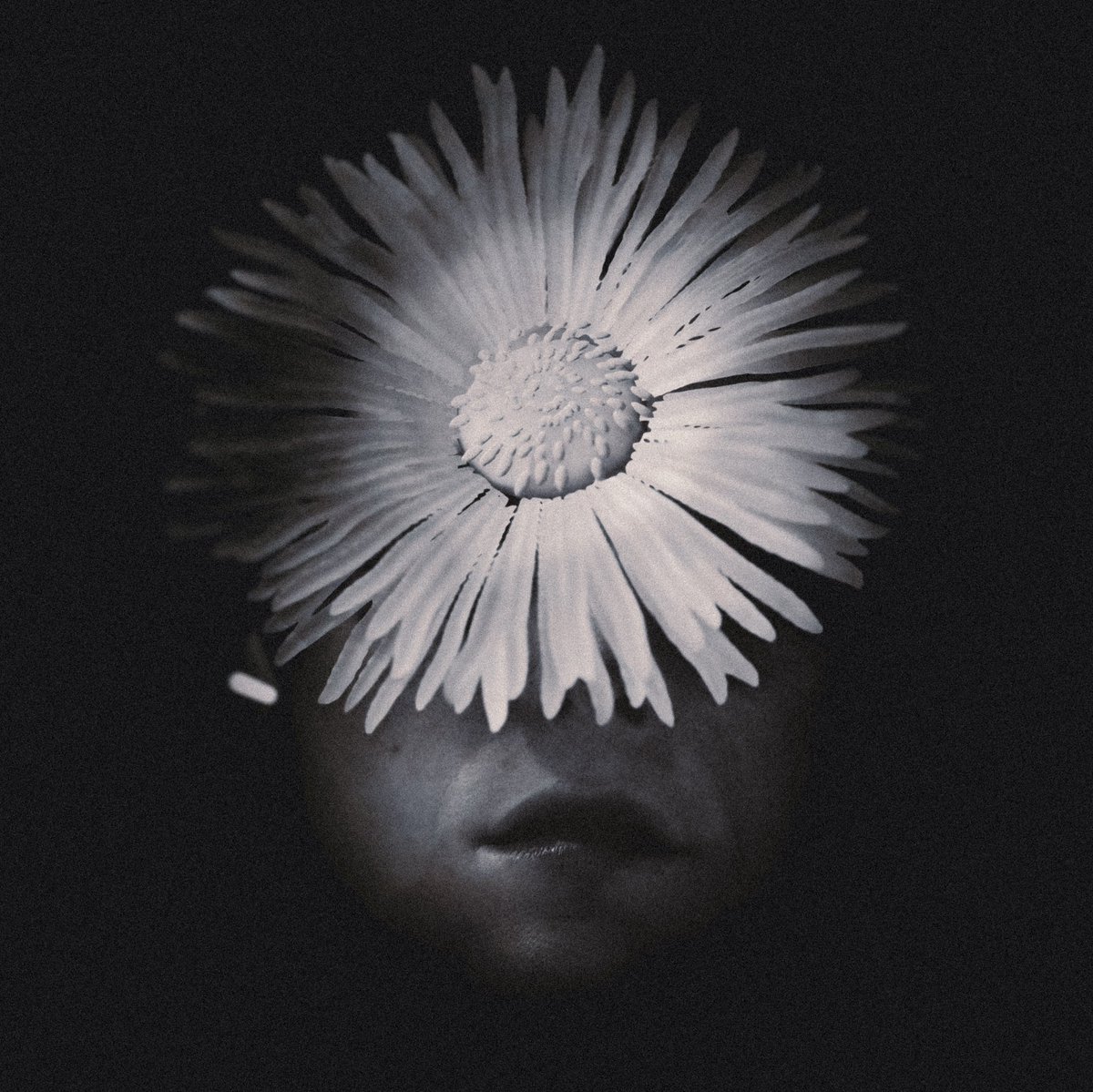 HAJER 😶‍🌫️ tweet media