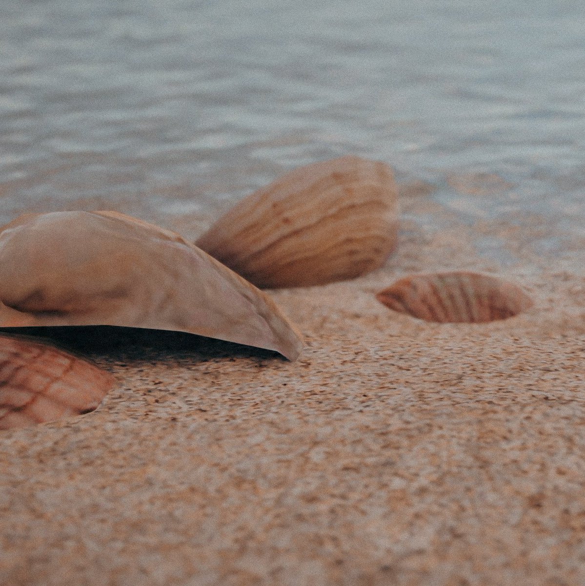 HAJER 😶‍🌫️ tweet media