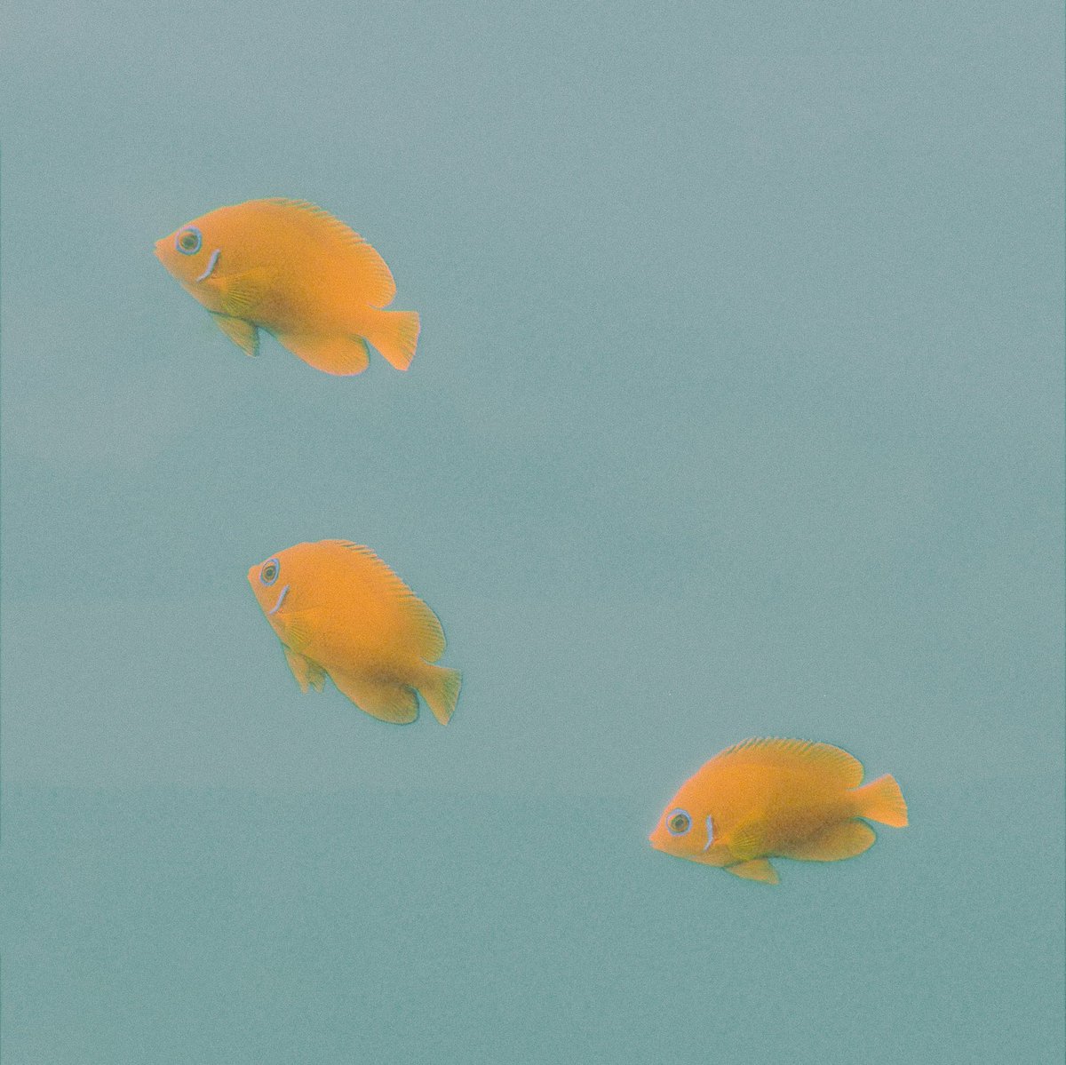 HAJER 😶‍🌫️ tweet media