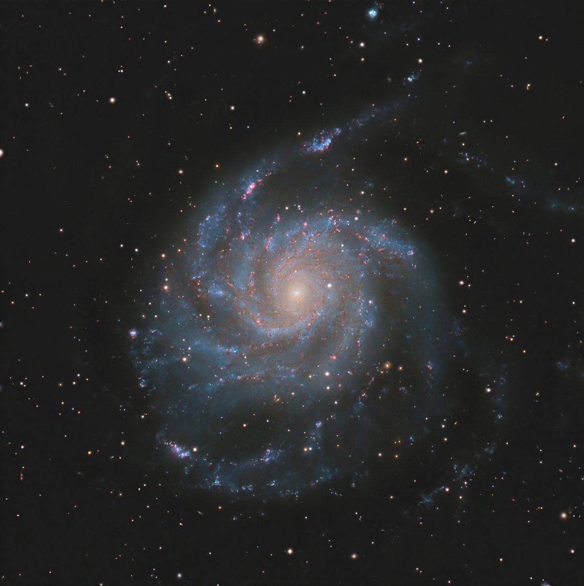 The mighty Messier 101.

A full moon project, at least two-thirds of it. Presumably, under a normal sky, half the time would have been sufficient for the same result. :)

Celestron C8 <a href="/f/">Fred Oliveira 🧠</a>/7, 14h 39′ total exposure