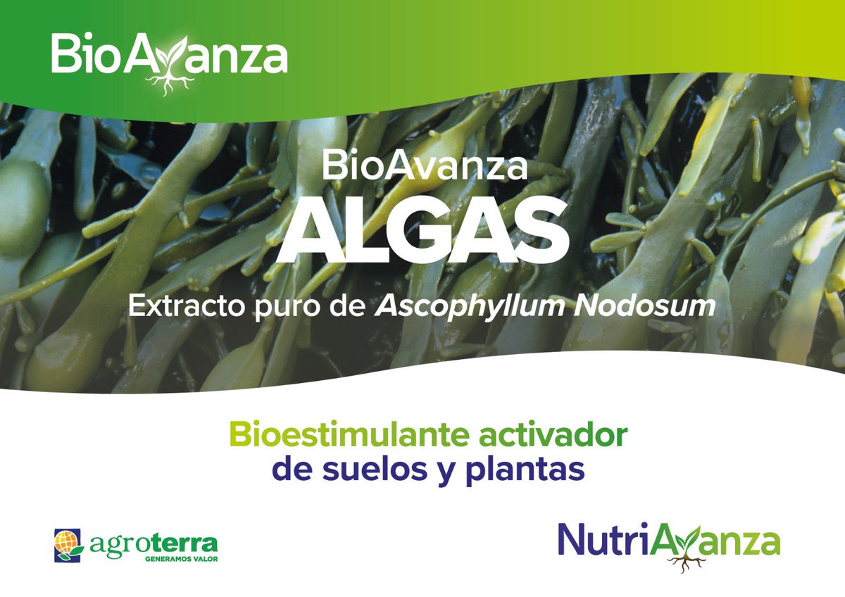 NutriAvanza (@nutriavanza) on Twitter photo 