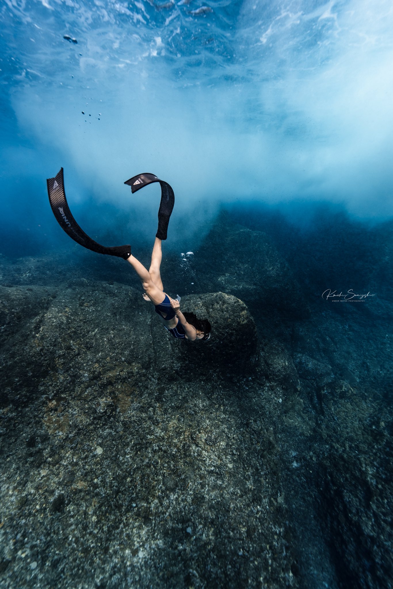 洋海鯨魚 ホアンジンユー 写真集 ピンク 洋海鯨魚 ホアンジンユー 写真集 ピンク 本