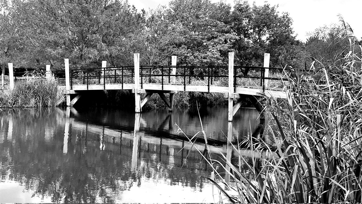 Schiebroekse park Rotterdam, reflectie
#010 #Rotterdam