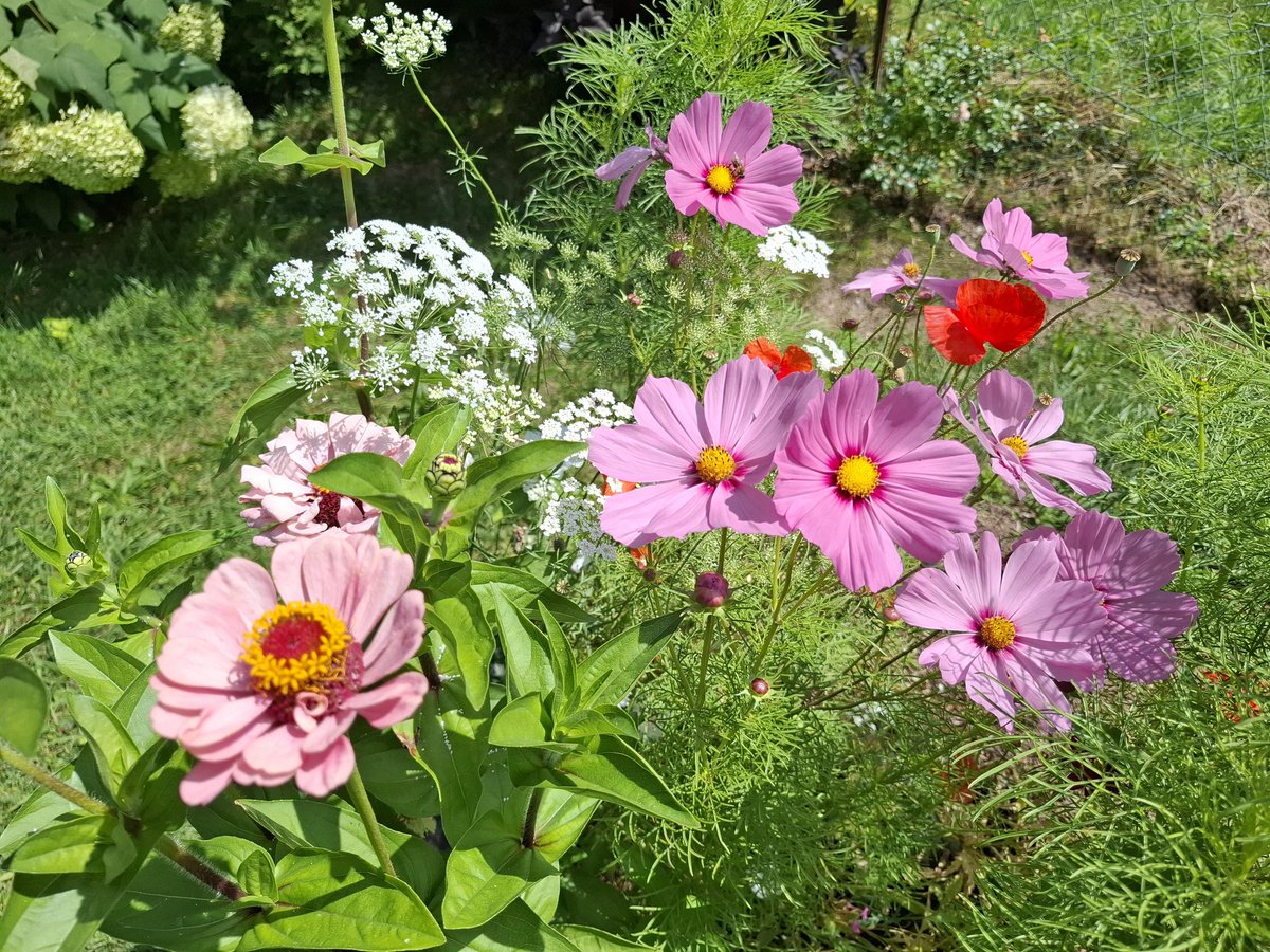 dagmarkuntscher🌳🌼🐾📚 📷 (@dagmarkuntscher) on Twitter photo 