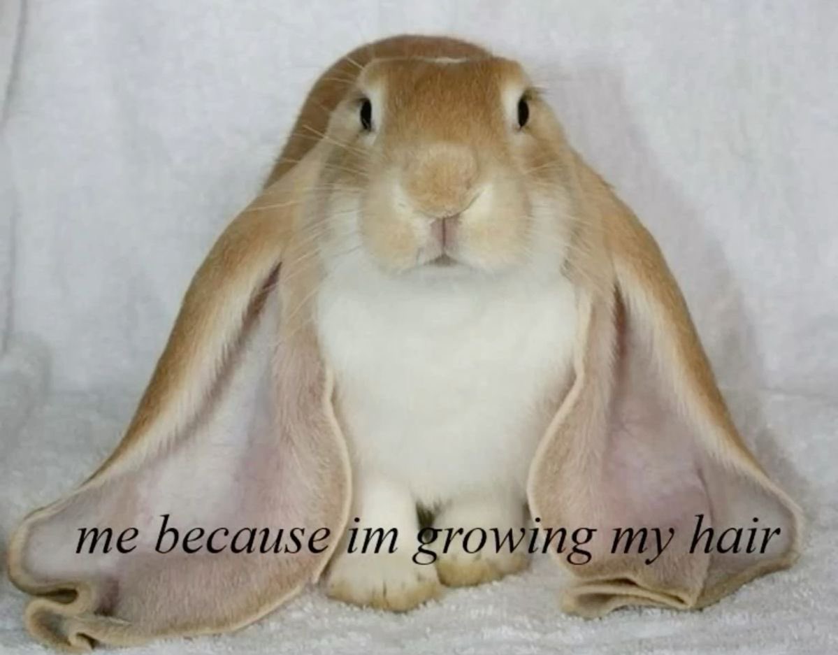 The Notorious J.O.V. (@whotfisjovana) on Twitter photo 