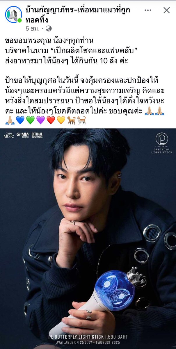 snoopy21twit's tweet image. โพสต์ขอบคุณจาก”บ้านกัญญาภัทรเพื่อหมาแมวที่ถูกทอดทิ้ง”

🐱 อาหารแมวกระป๋อง 240 กระป๋อง

ขอบคุณทุกท่านที่ซัพพอร์ตไอเทมผ้าเหลือจาก ปจ #ชุดนอนด้อม702ช่วยหมาแมวจร ทุกท่านจร้าาา ♥️♥️♥️

#เป๊กผลิตโชค #PeckPalitchoke