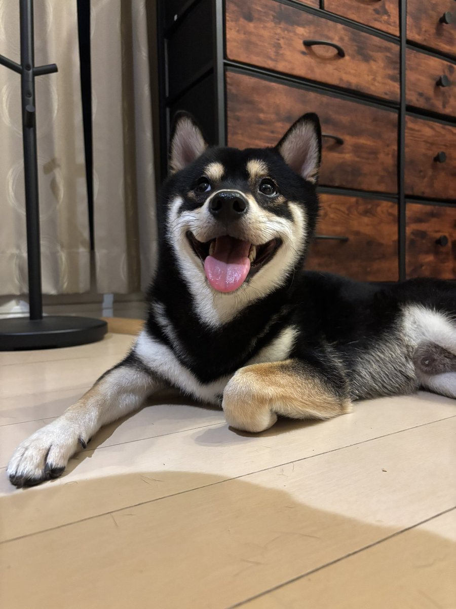 せっかくトレーニング頑張っているって事で、写真撮ってもらいました<a href="/Osyruphoto/">Osyrup</a> 
いろいろボディメイクの課題見えてきました