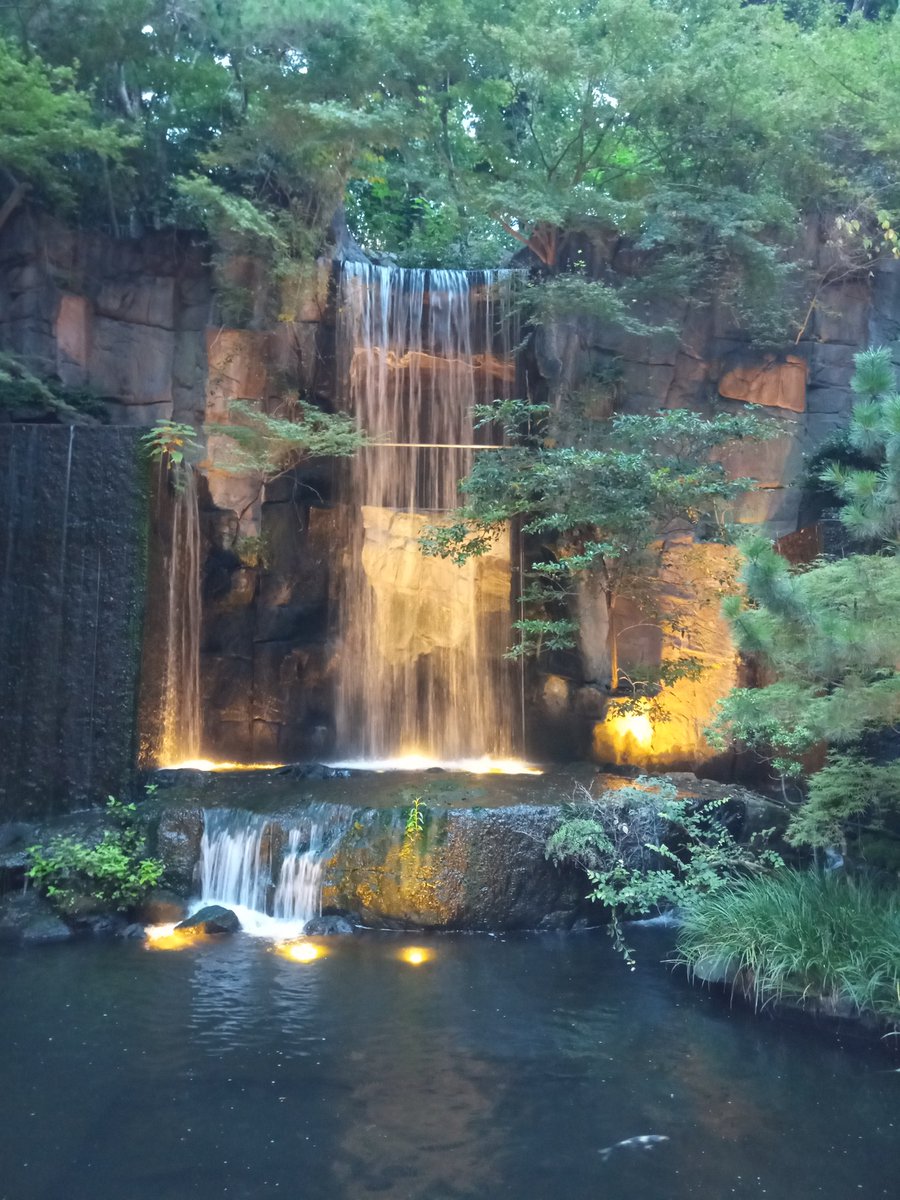 tsuchi_sato's tweet photo. まもなく一旦営業終了ということで雅叙園 百段階段へ。（まさか百段階段は取り壊さないとは思うけれど）
鏑木清方も拝見。他人が写り込まないように階段の写真を撮ることはちょっと難しかったです。 https://t.co/ktSccu5HFu
