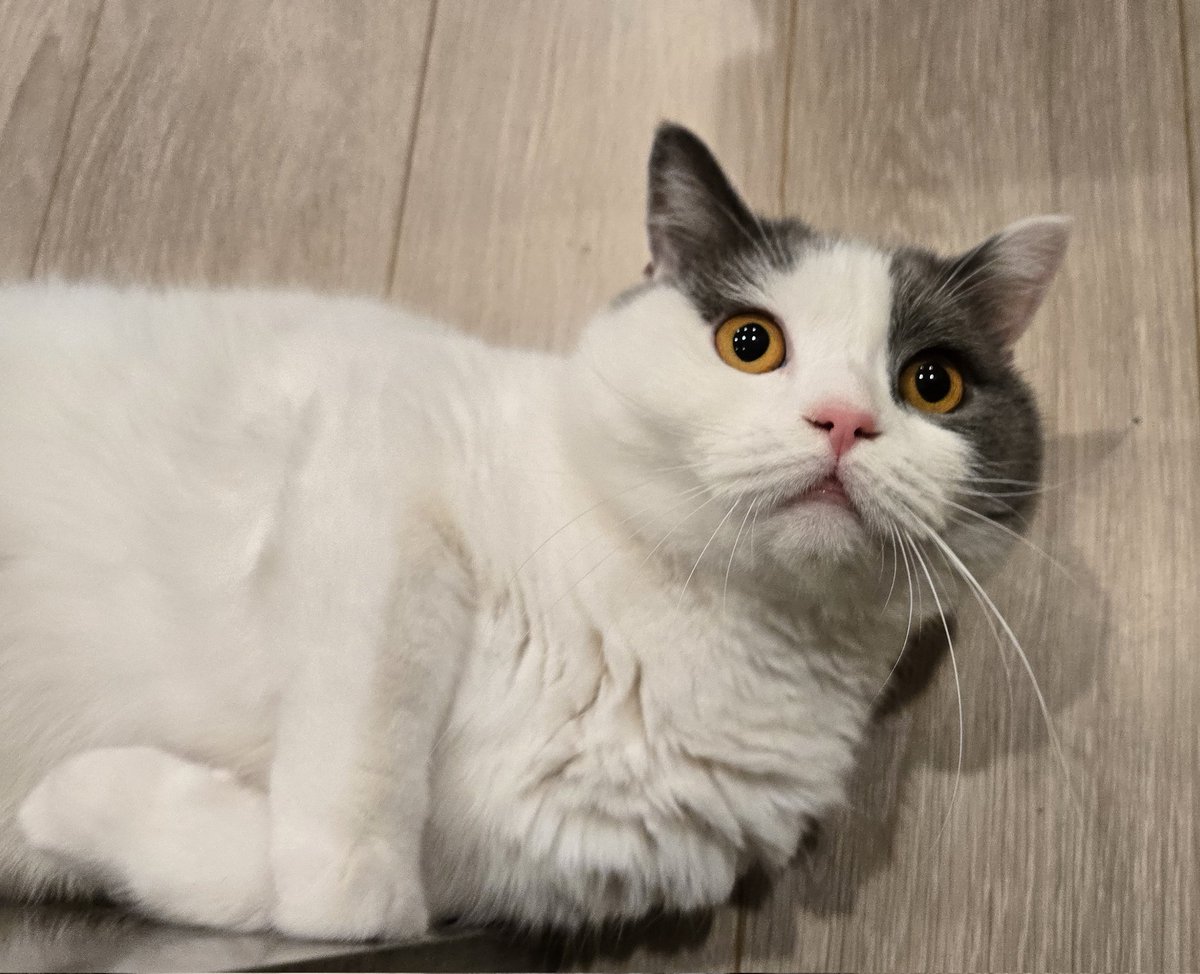 え、明日仕事行くの？ スコ負けしたのに？