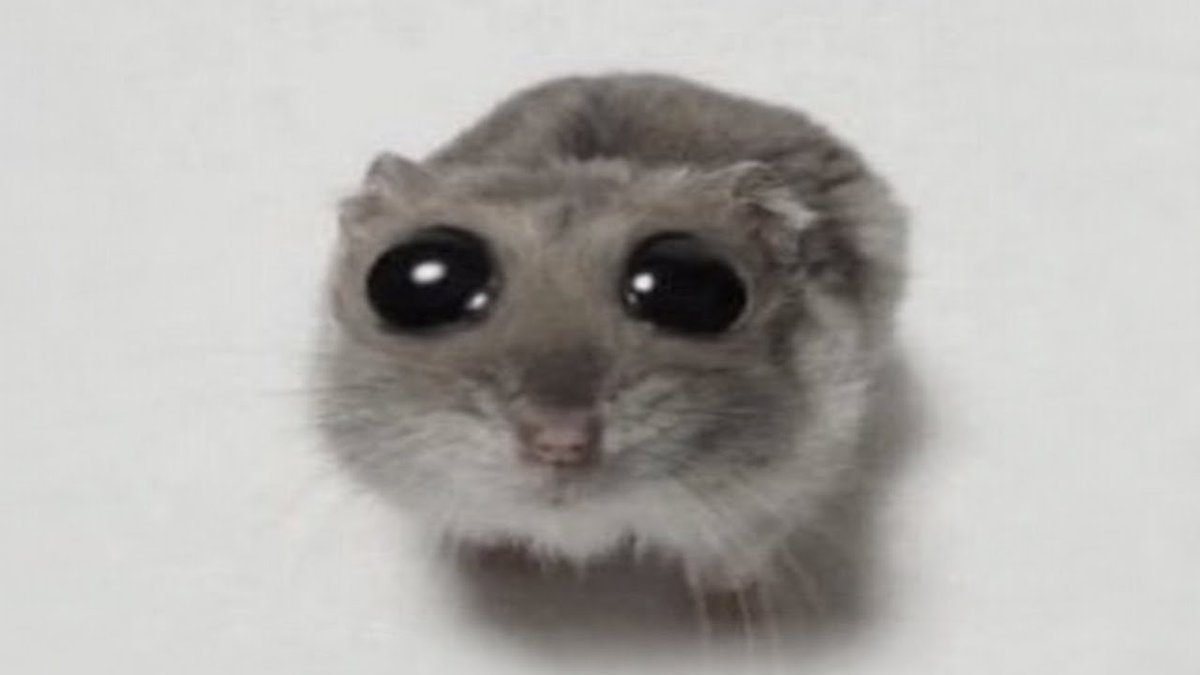 I'll be on vacation when the update drops