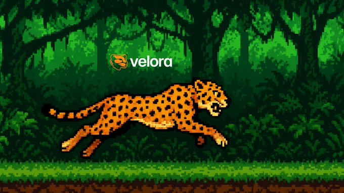 DeFi is fragmented, costly, and complex <a href="/VeloraDEX/">Velora (formerly ParaSwap)</a>  fixes it with intent-based trading.

12 chains, 160+ integrations, MEV protection &amp; $100B ParaSwap legacy powering the next-gen DeFi gateway.