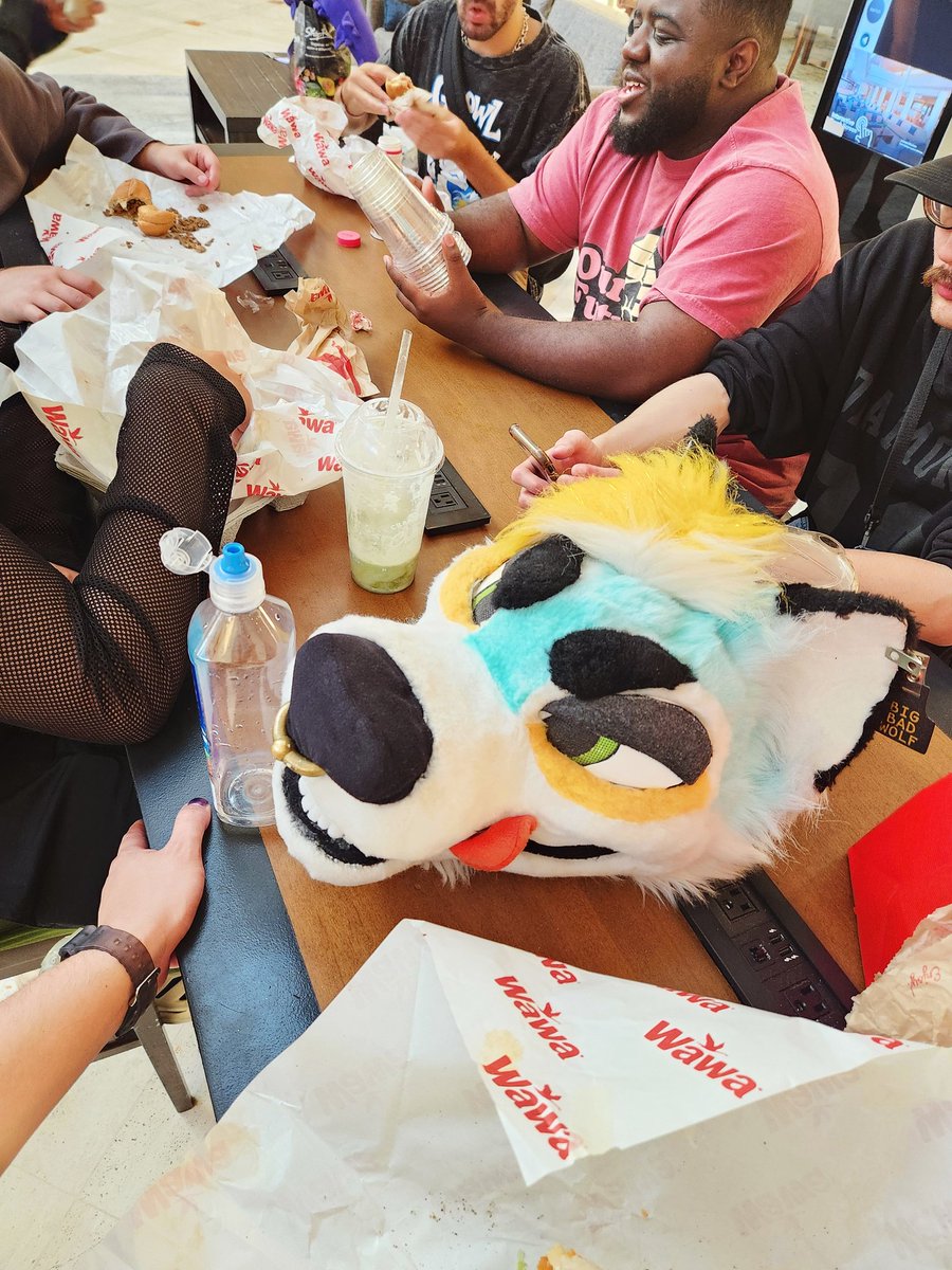 CAPS LOCK CANINE 🌹⛓️🌈 tweet media