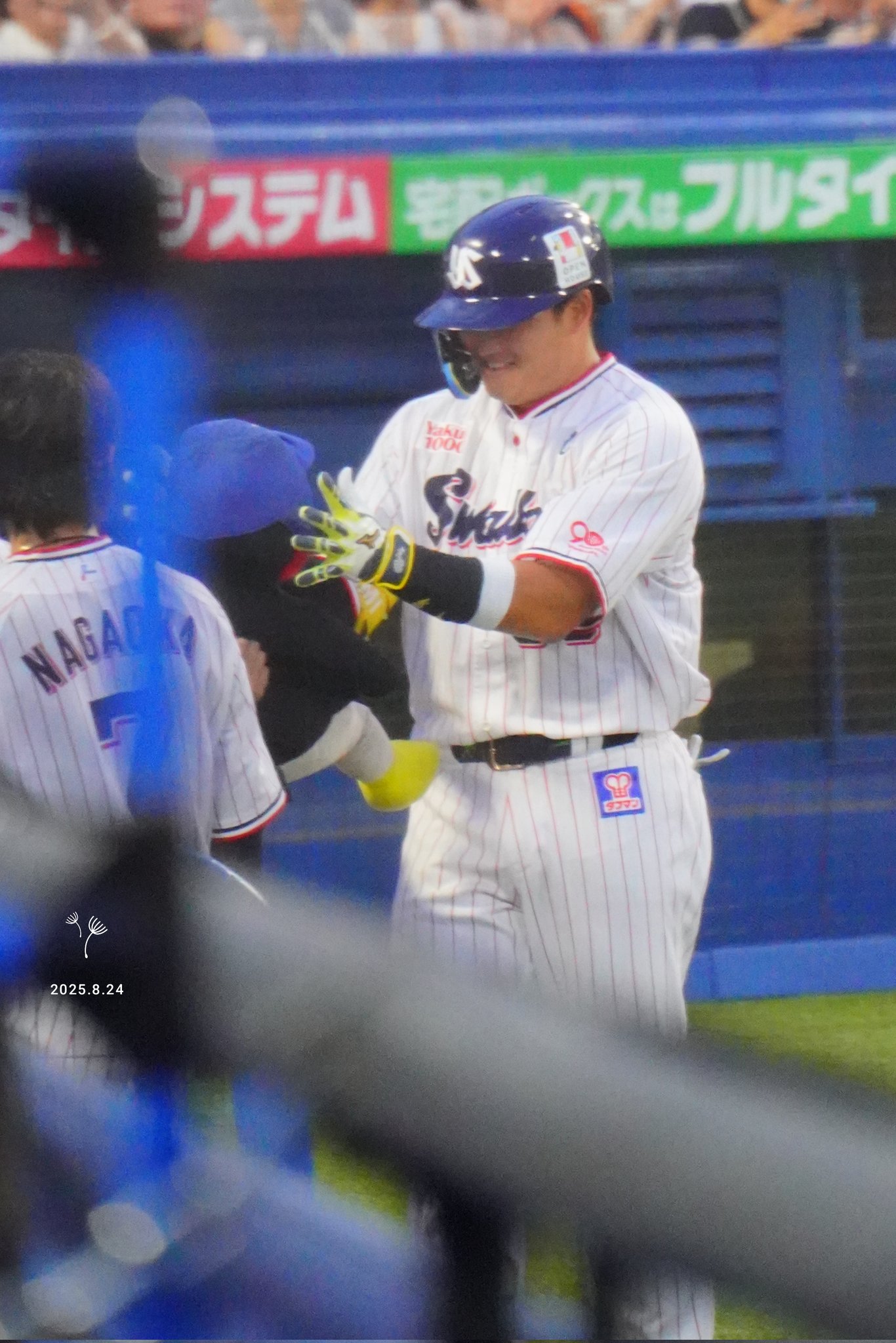 燕田はむみ🐧⚾️ on X: 