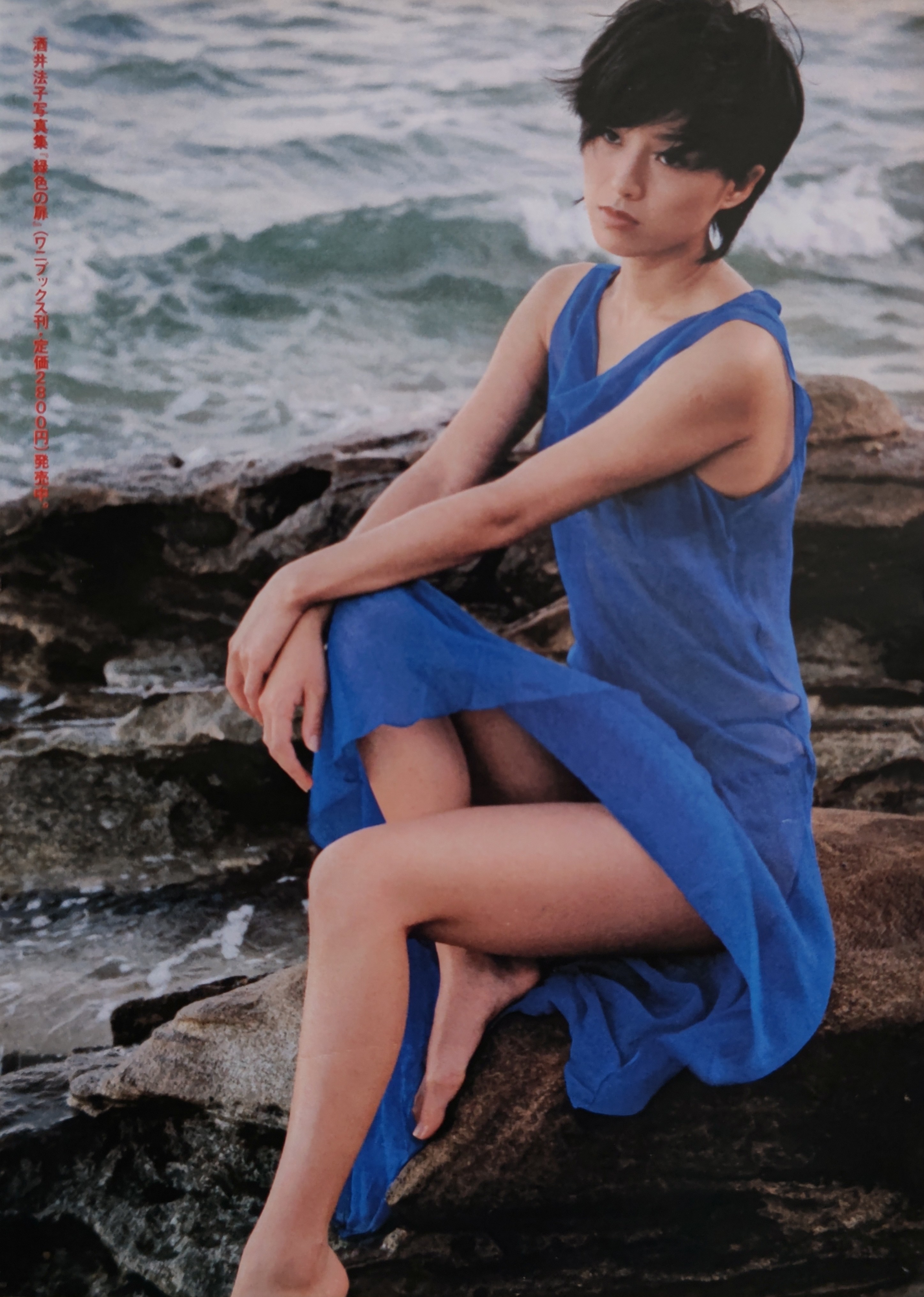 【酒井法子｜ファンクラブ会報】1992年2月〜1995年9月（No.60〜91） 酒井法子｜ファンクラブ会報】1992年2月〜1995年9月（No.