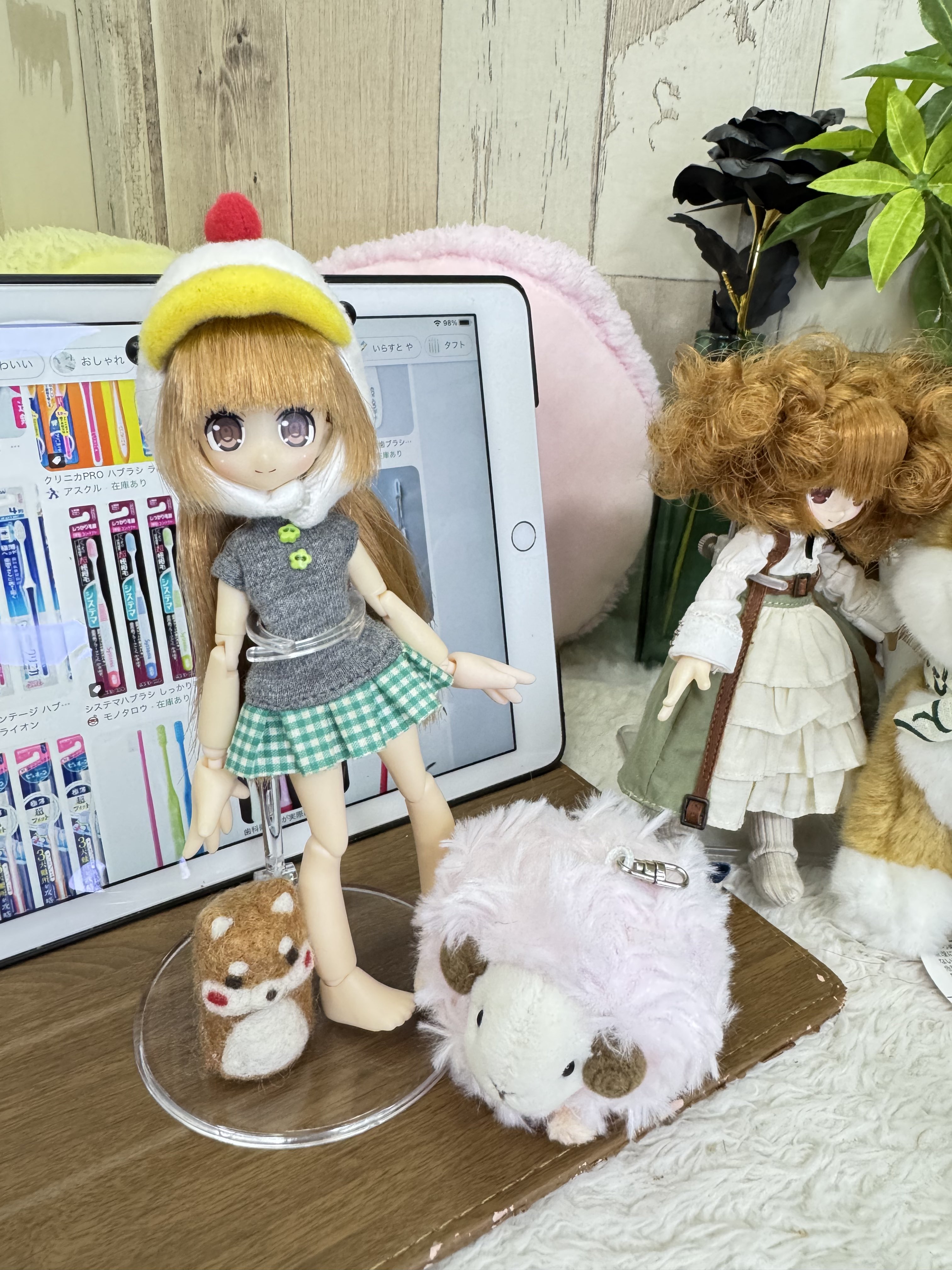 くまきち (@bearbeartyan) / X
