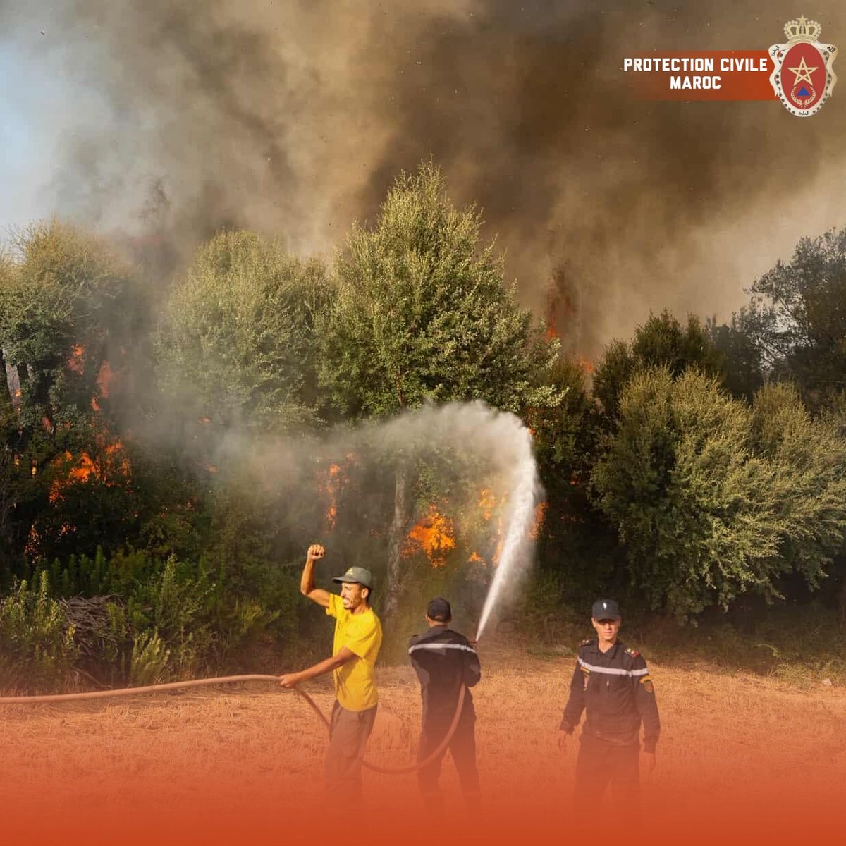 أعلنت الوقاية المدنية بإقليم شفشاون عن السيطرة التامة على الحريق الغابوي الذي أتى على 80 هكتاراً.  
ساهمت في الإخماد فرق الوقاية المدنية والمياه والغابات والسلطات المحلية، مدعومة بطائرات كنادير.  
ولم تُسجل خسائر بشرية، فيما تتواصل جهود تبريد البؤر المتبقية وتأمين محيط الغابة.