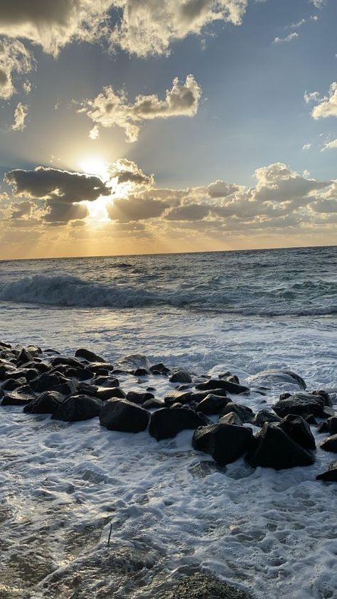 عليا (@aliasweden1) on Twitter photo 