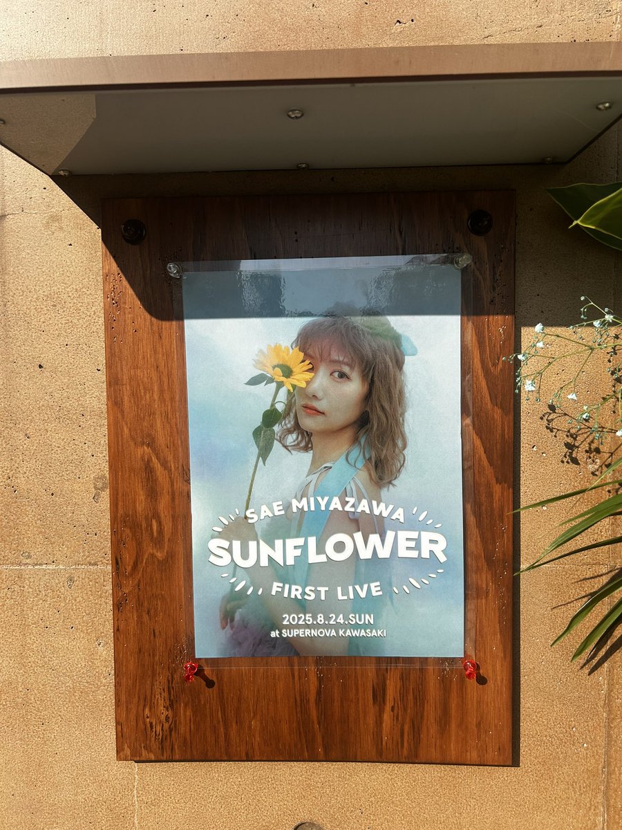 saemarika515's tweet photo. #SUNFLOWER0824 昼公演🌻
とってもとっても楽しくて幸せな空間でした😆
佐江ちゃんのこと大好きだなって再確認しました🫶
最高な思い出をありがとう✨ https://t.co/uvyQsPqeHf