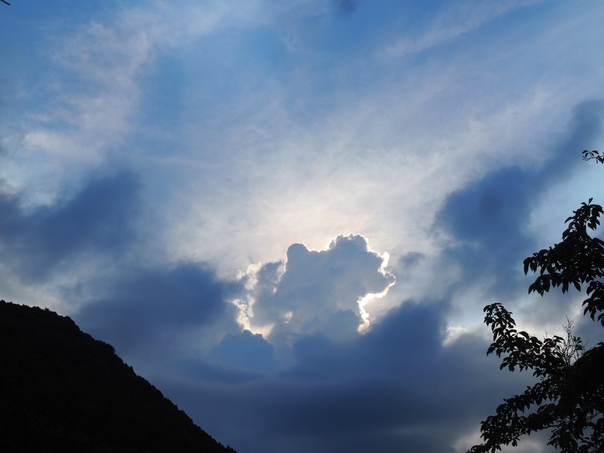 r (@__irs2) on Twitter photo 