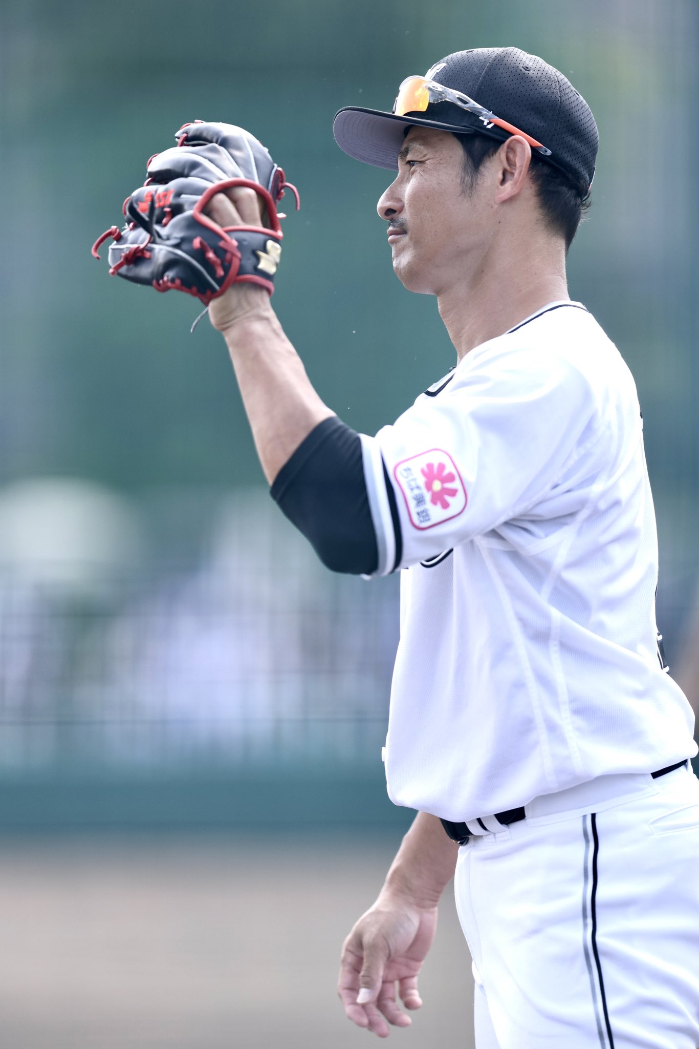 カビー(Cubby Photo) on X: 