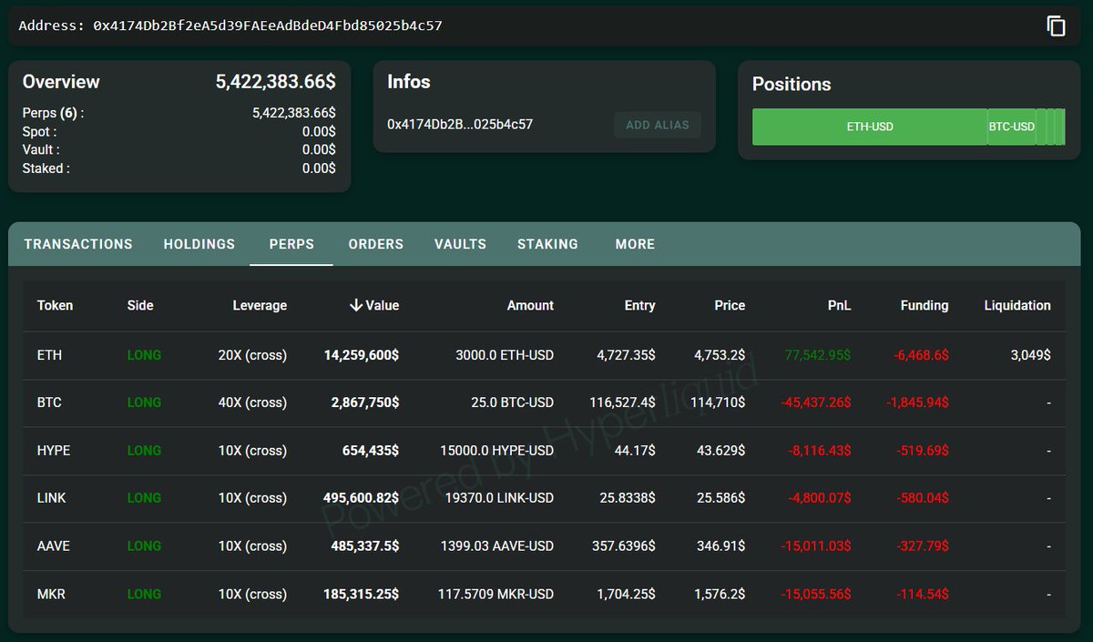 HyperLiquid에서 ETH, BTC, HYPE, LINK, AAVE, MKR의 오픈 롱 포지션 스크린샷