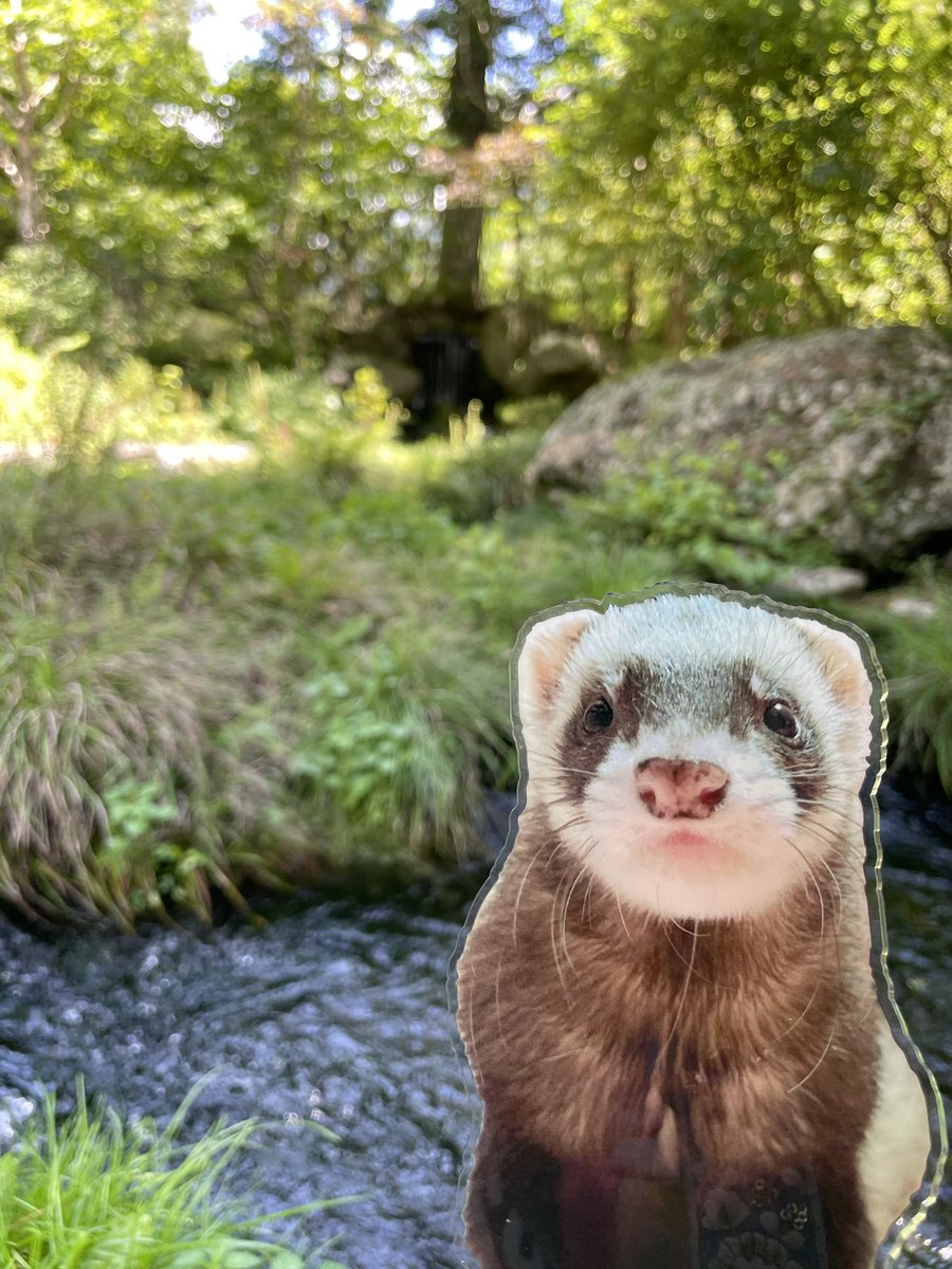 ラブちゃん ラブちゃん/Mai (@love_chan729) / X