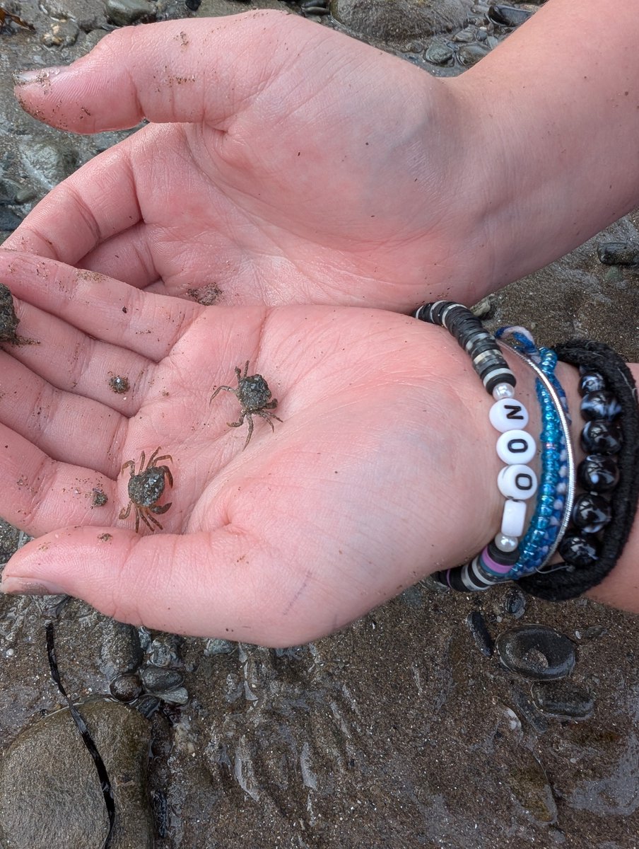 The EcoWeek Trust tweet media