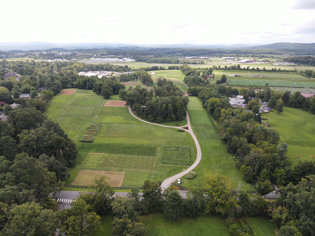 Virginia Turfgrass Foundation tweet media