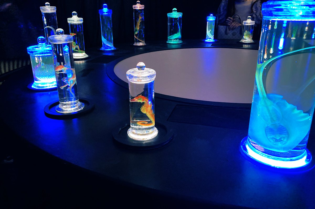 せっかくだし久々に西条の美術館行ってきたけど、この展示室だけ周り全員カップルで包囲されて切なくなった
展示すごく良かったです