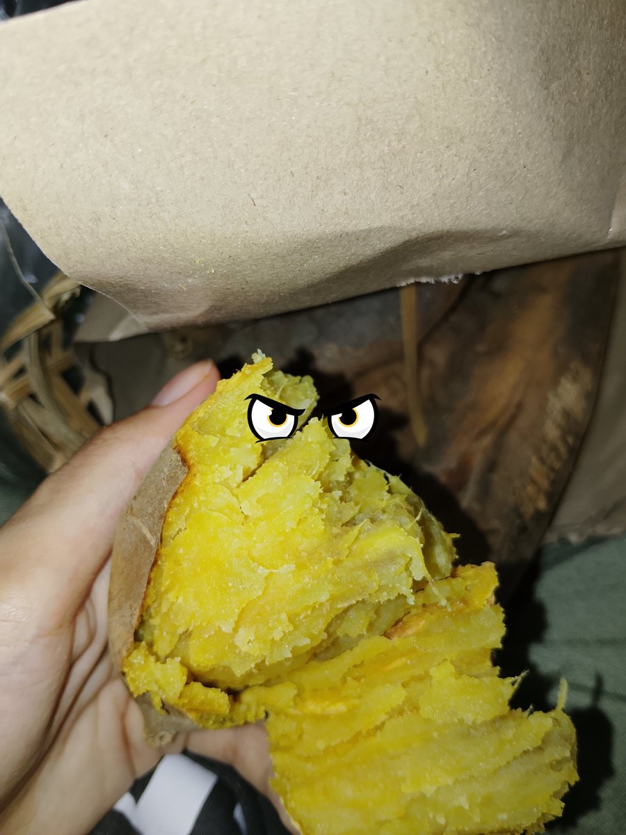 Bicil kalo bentukannya manusia udah gue kawinin njir😠🤤