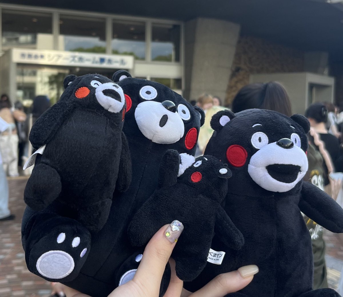 DGS CAMP in 熊本
熊本初上陸だったけど街も人も素敵すぎた！
最前センターで見ることができて感無量……
そしてくまモンいっぱい🐻‍可愛いかった