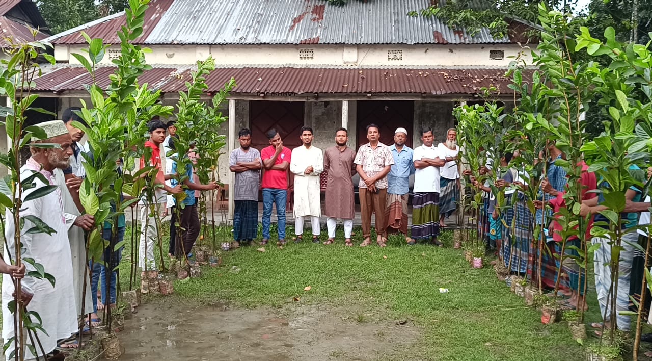 হোসেনপুরে হিলফুল ফুজুল যুব সংঘের উদ্যোগে বৃক্ষরোপণ ও বৃক্ষবিতরণ