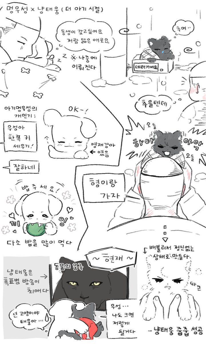 un9dan's tweet photo. 멍우성 냥태웅🐶🐱 (더 아기ver) https://t.co/Xca3Fgql0j