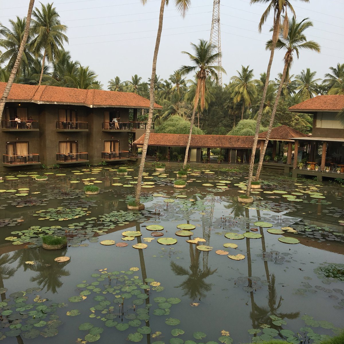 Wow… 🤩 
Dindi Resort is just 5 km from my hometown, yet I never knew about it. Sometimes we miss what’s closest to us while chasing things far away.
