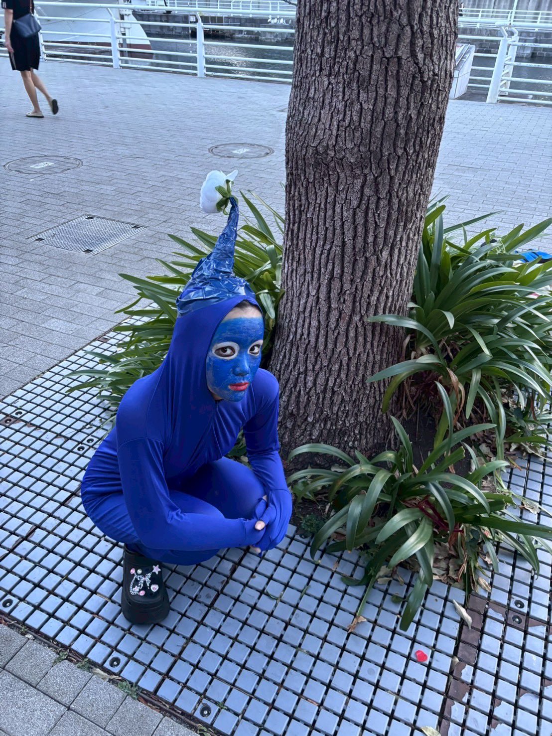 ミスターポポ – търсене / X