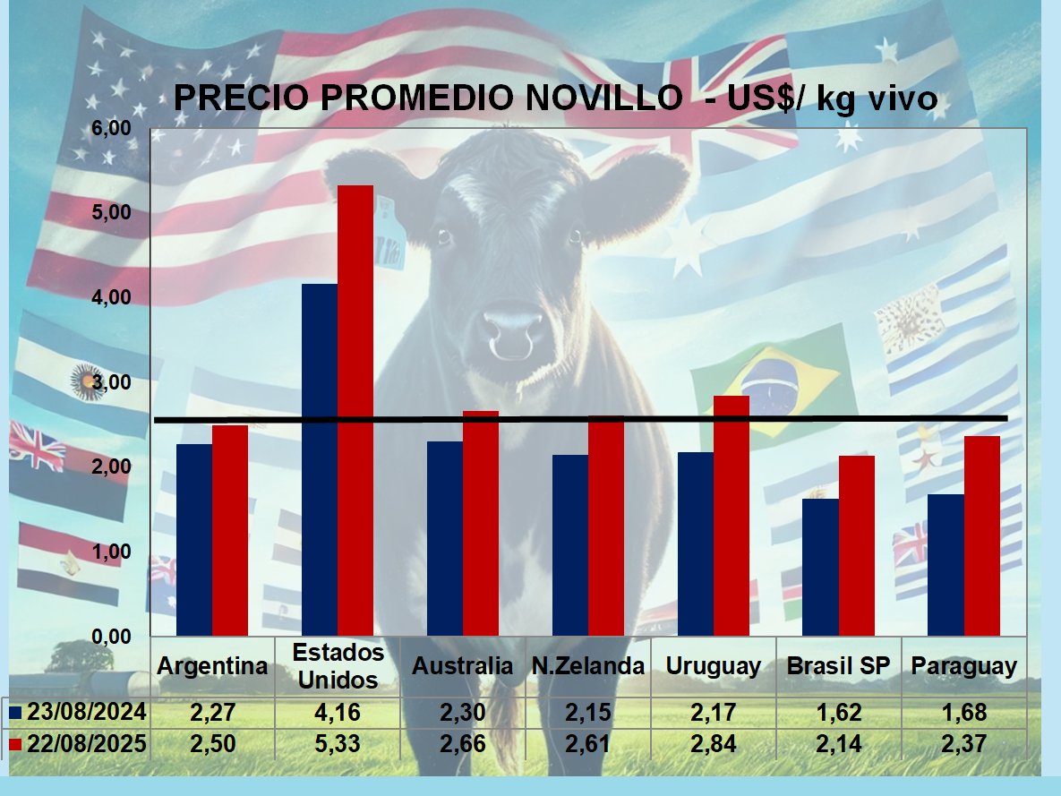 Mercado mundial: escenario de precios ganaderos firmes  y récords! 
informeganadero.com.ar/?p=14327

<a href="/Agronegocios_Uy/">Agronegocios_Uy</a> <a href="/carlosetchepare/">CARLOS ETCHEPARE</a> <a href="/kohn_federico/">carlos federico kohn</a>  <a href="/agrositio/">Agrositio</a> <a href="/infocampoweb/">Infocampo</a> <a href="/beefcentral/">Beef Central</a> <a href="/DroversCTN/">@DroversCTN</a>