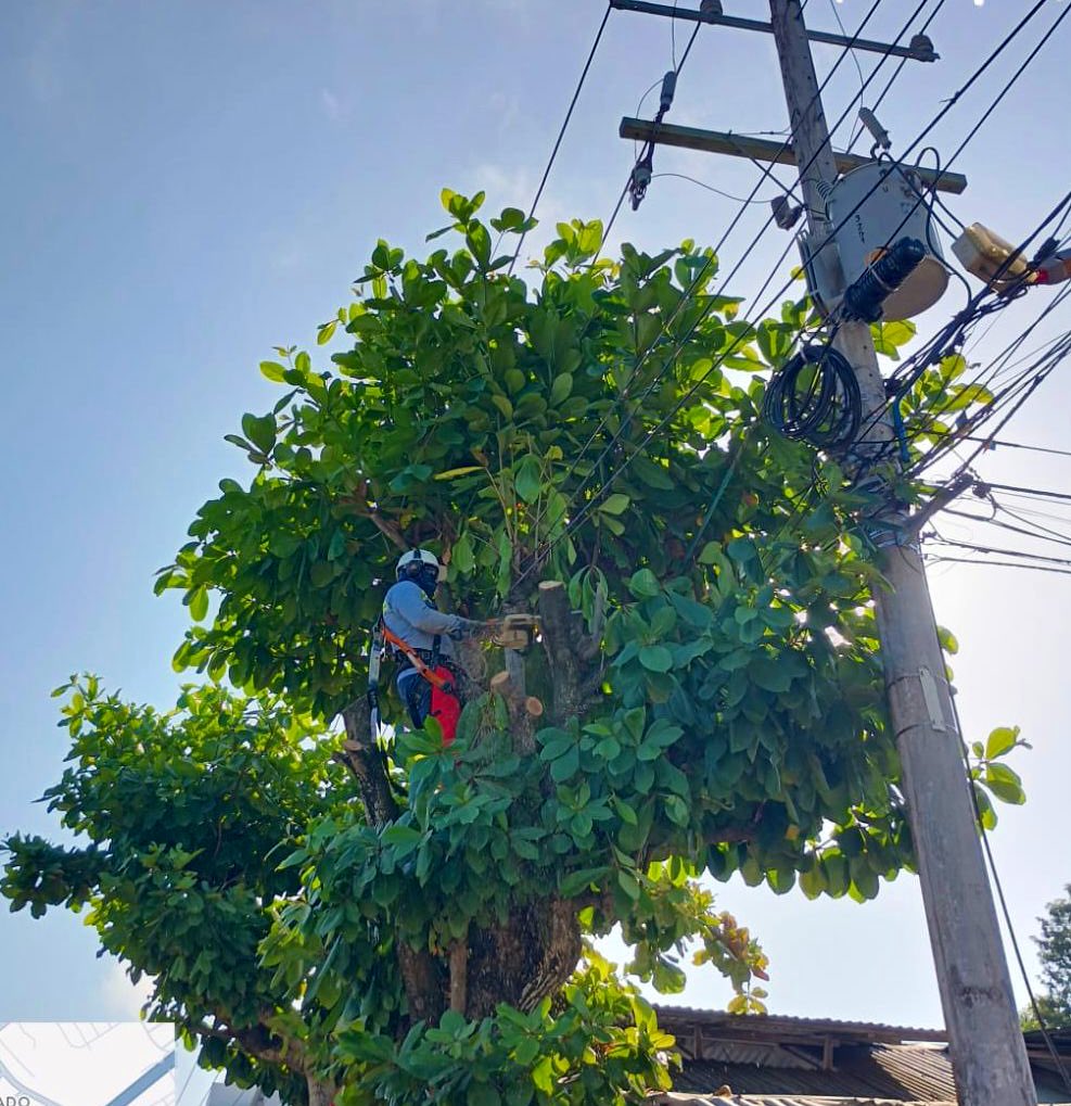 AfiniaGrupoEPM's tweet photo. ⚡️Iniciamos la renovación de la infraestructura eléctrica y poda técnica en varios sectores de Sincelejo con el fin de llevar a nuestros clientes-usuarios de #AfiniaEnSucre un servicio más continuo y de calidad. 

Para tal fin, fue necesario suspender el servicio de energía en varios barrios de la ciudad capital.