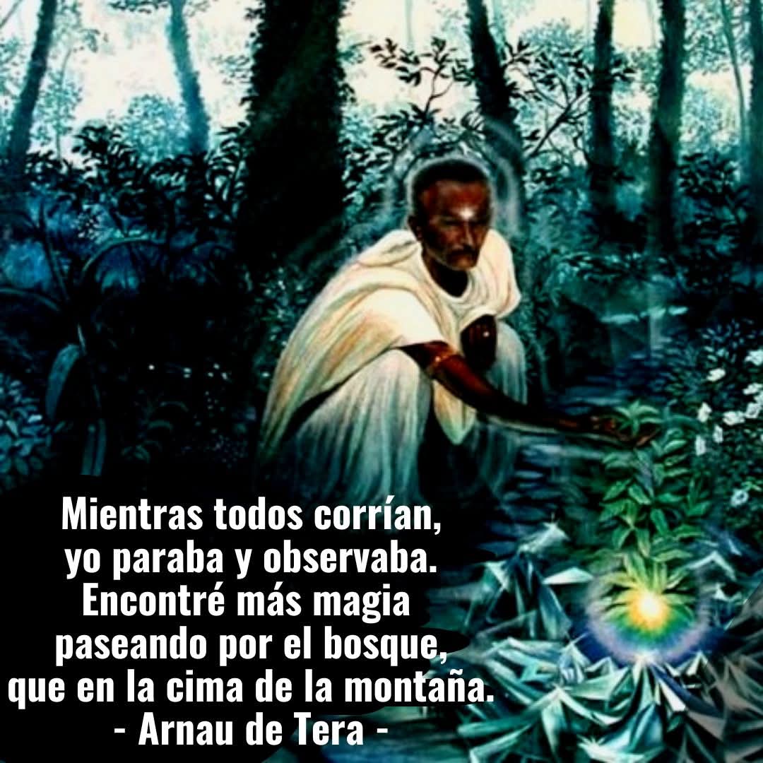 Arnau de Tera (@arnautera) on Twitter photo 