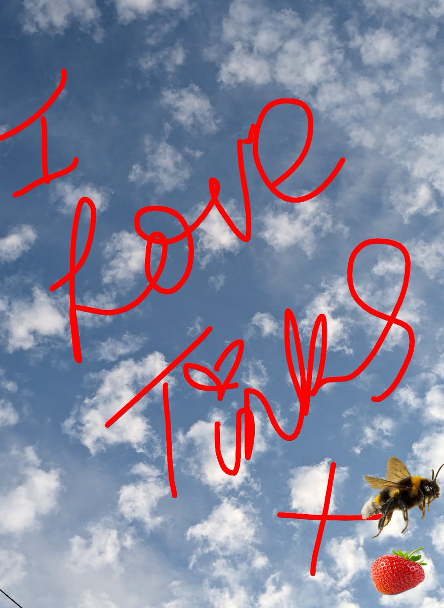 #Hedgewatch #Nipfest2025 #NipFest25 <a href="/JudithandTinks/">Judith longden</a> Tinks...look up in the sky! Bertram Bee has eaten lots of strawberries &amp; pooped out a message to mew from Bryan 💜🐾🤘