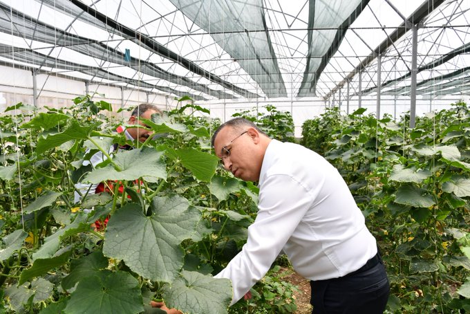 SANAYİDEN TARIMA UZANAN BAŞARI 
gercekhaber27.com/sanayiden-tari… 

#gaziantep <a href="/gantepvaliligi/">Gaziantep Valiliği</a> <a href="/kemalcebervali/">Kemal Çeber</a> <a href="/CCemilorhan/">m.cemilorhan</a> <a href="/omerturan_sivas/">Ömer Turan</a> #SONDAKİKA