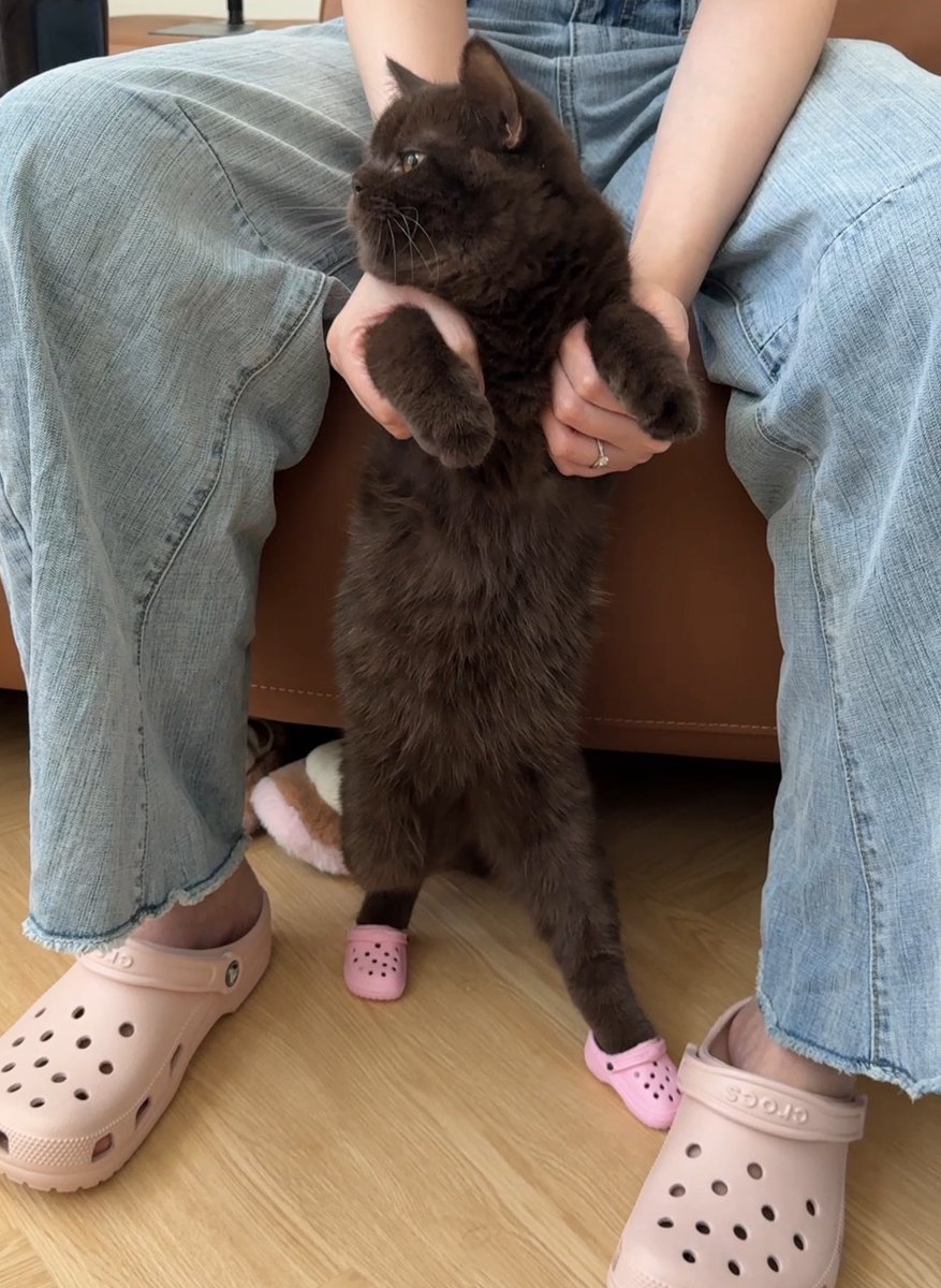 รองเท้าคู่มี๊คั้บบ