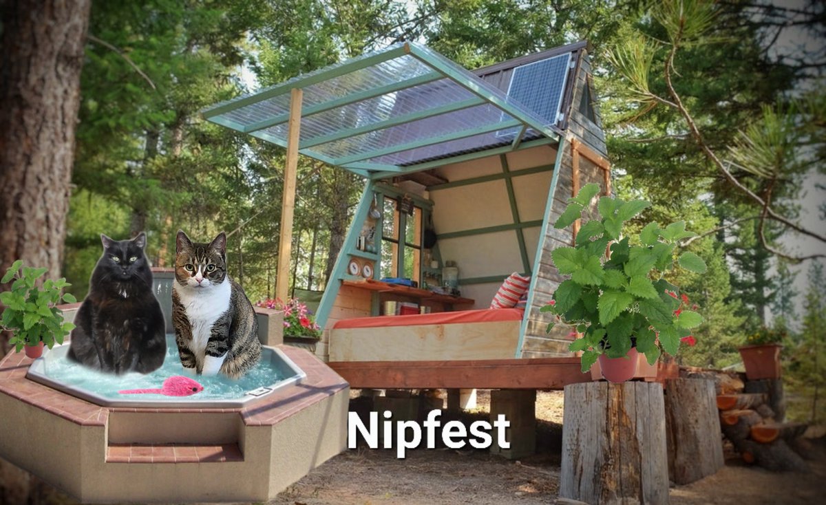 Hekili&Ranger & Lynn Riemer. ππππ (@hibiscuslynn) on Twitter photo Good morning! We are having a relaxing soak in the hot tub this morning before the supper club.
<a href="/MightyHuntress1/">The Mighty Huntress</a> <a href="/Gusnangeldizzy/">Gus & π Dizzy</a> #Nipfest2025 #NaughtyPetsClub Good morning! We are having a relaxing soak in the hot tub this morning before the supper club.
<a href="/MightyHuntress1/">The Mighty Huntress</a> <a href="/Gusnangeldizzy/">Gus & π Dizzy</a> #Nipfest2025 #NaughtyPetsClub