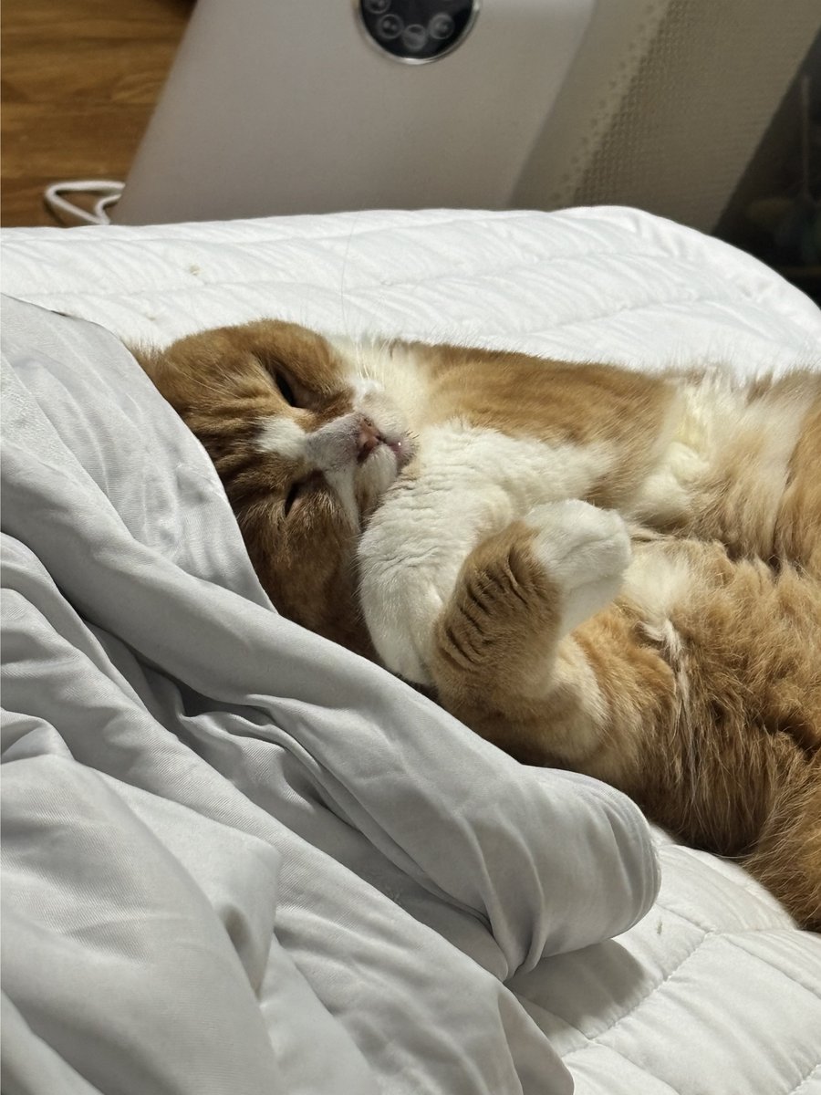 집에옴 ~ 걱정 ㄴㄴ