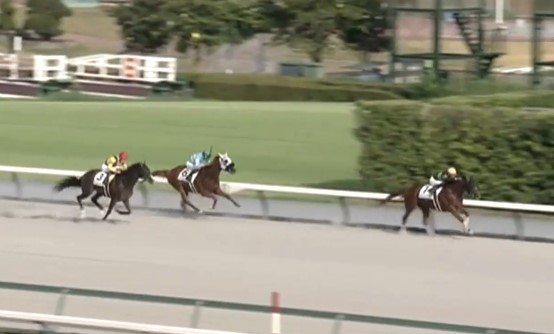 8月23日、当社育成馬カミノレアル(牡3、栗東・今野貞一厩舎、DMMドリームクラブ様所有)が、中京12R、3歳以上1勝クラス（ダート1800m）で、2勝目を挙げました！

DMMドリームクラブの会員の皆様、今野厩舎の皆様、優勝おめでとうございました！
kimurabokujo.com/%e6%9c%a8%e6%9…